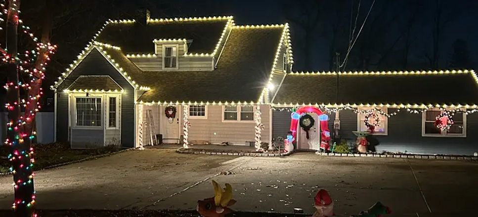 Festive bush and shrub holiday lighting design by Dr. Drizzle